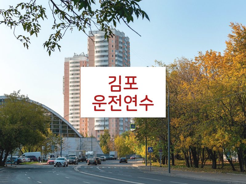 김포운전연수 후기