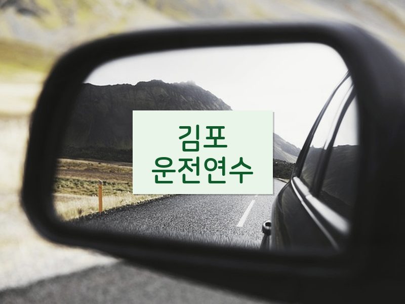 김포운전연수 후기