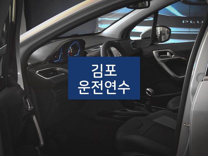 김포운전연수 후기