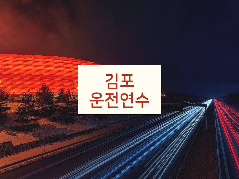 김포운전연수 후기