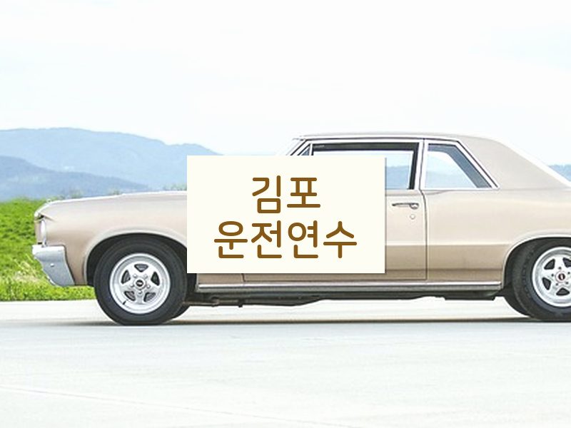 김포운전연수 후기