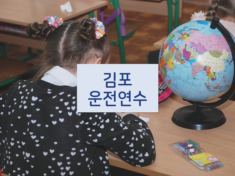 김포운전연수 후기