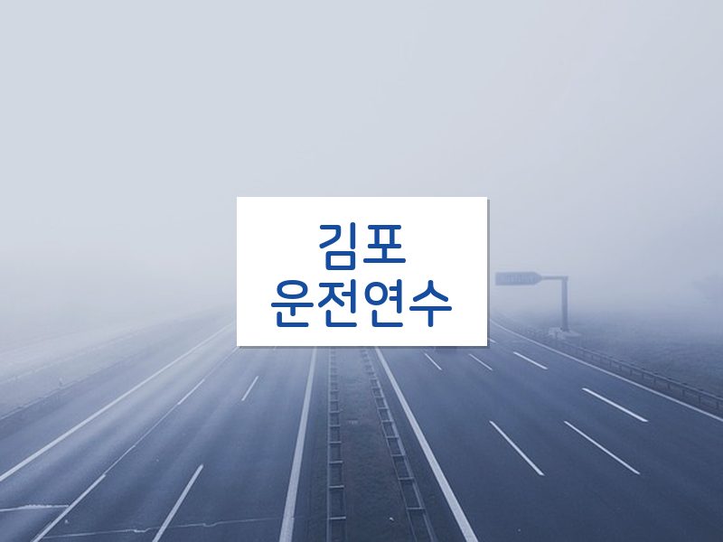 김포운전연수 후기