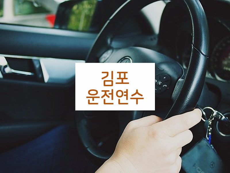 김포운전연수 후기