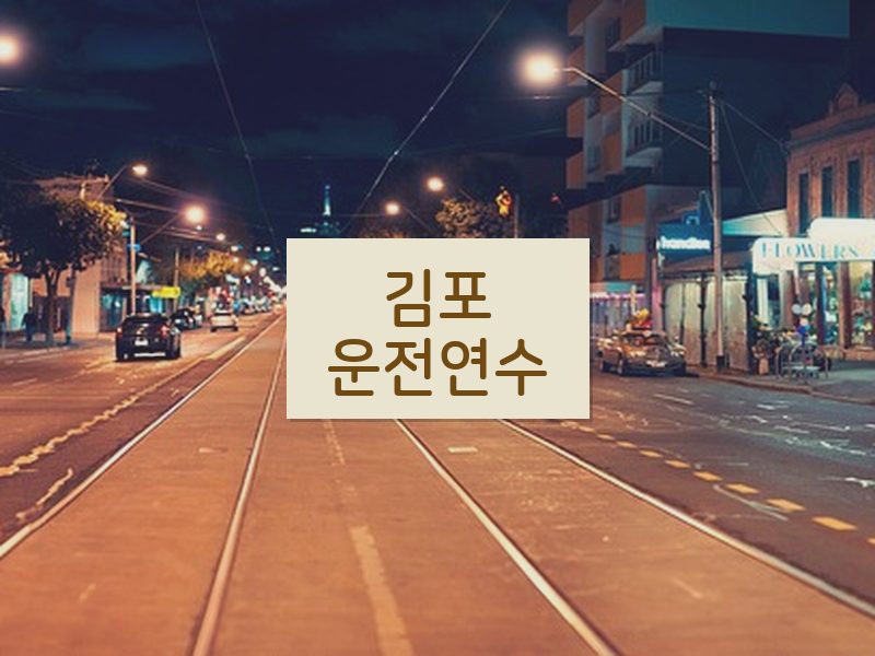 김포운전연수 후기
