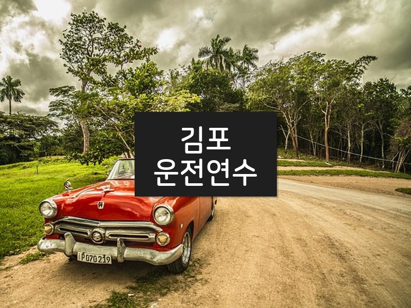 김포운전연수 후기