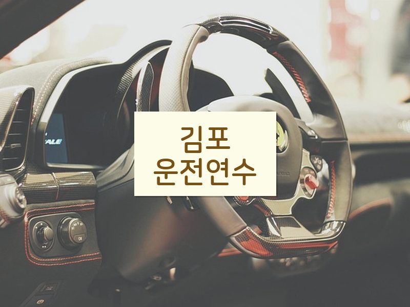 김포운전연수 후기