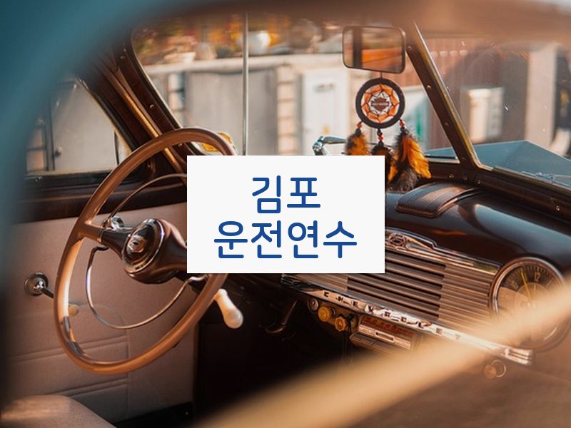 김포운전연수 후기