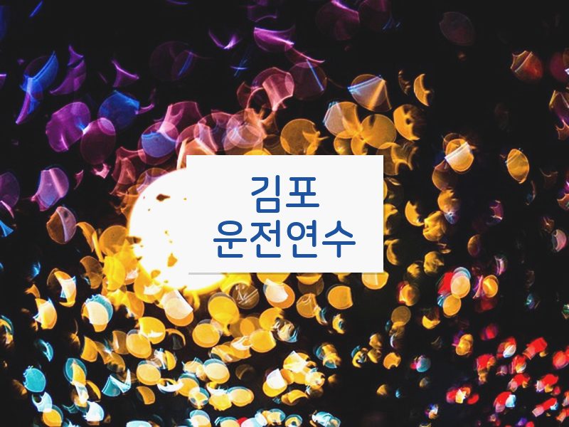 김포운전연수 후기
