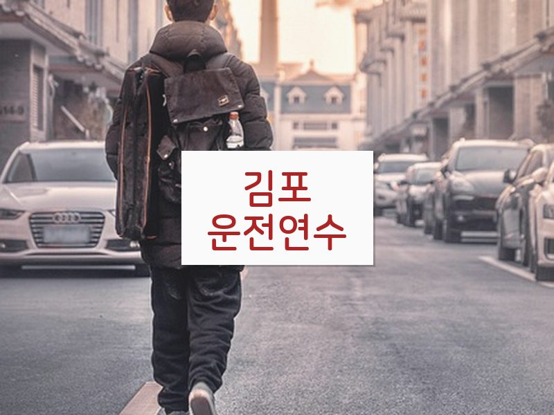 김포운전연수 후기