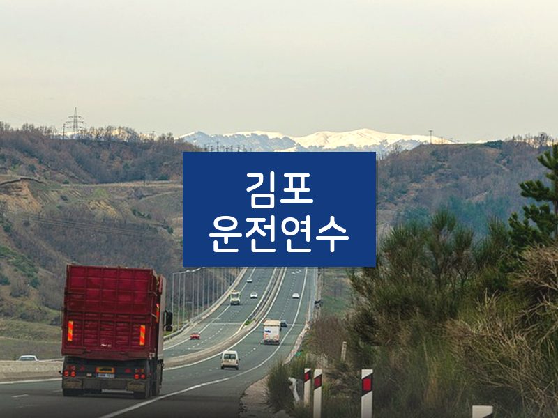 김포운전연수 후기