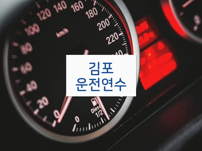 김포운전연수 후기