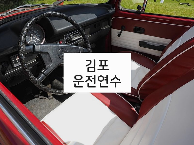 김포운전연수 후기