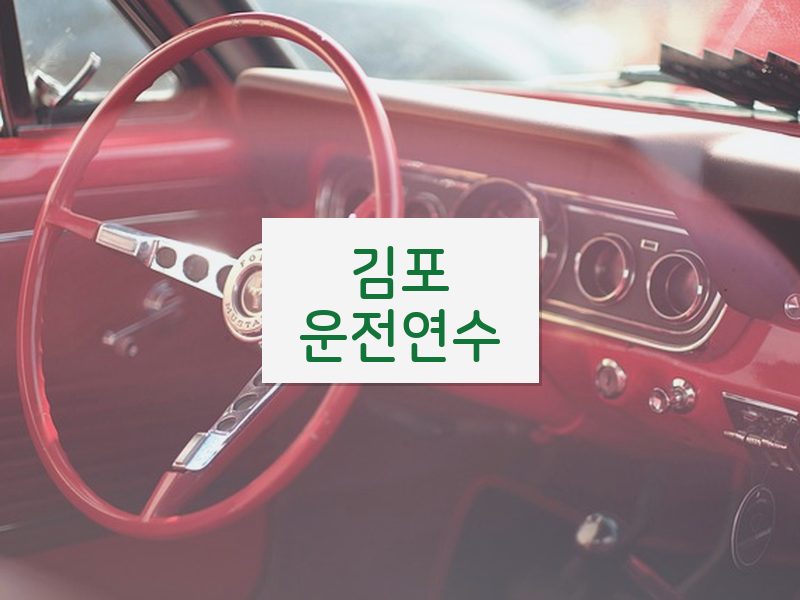 김포운전연수 후기