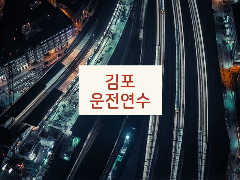 김포운전연수 후기