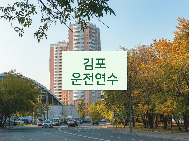 김포운전연수 후기