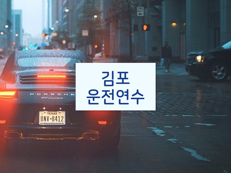 김포운전연수 후기