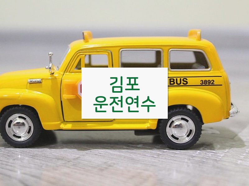 김포운전연수 후기