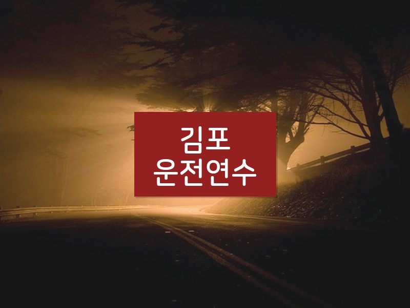 김포운전연수 후기