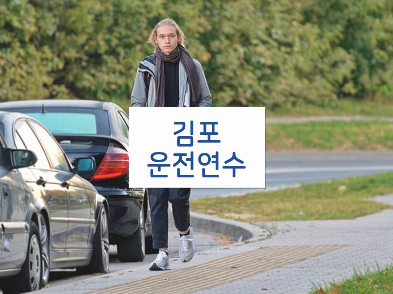 김포운전연수 후기