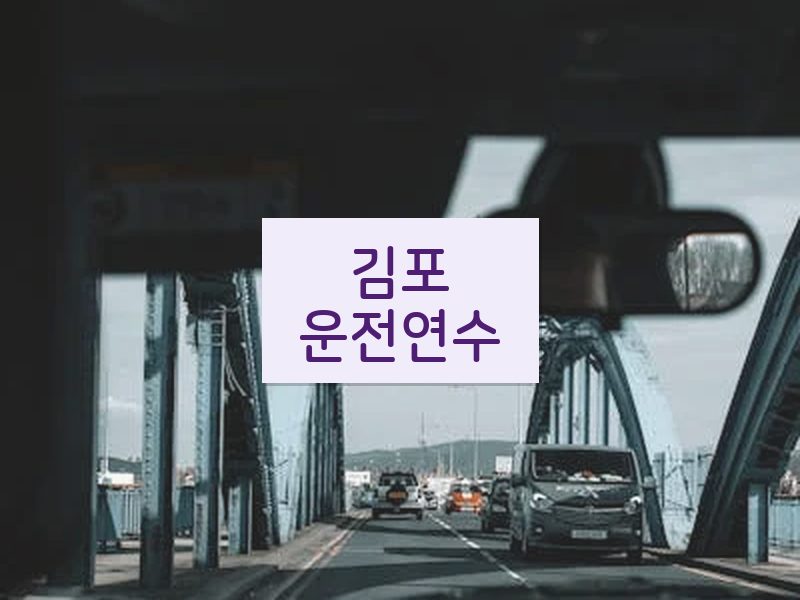 김포운전연수 후기