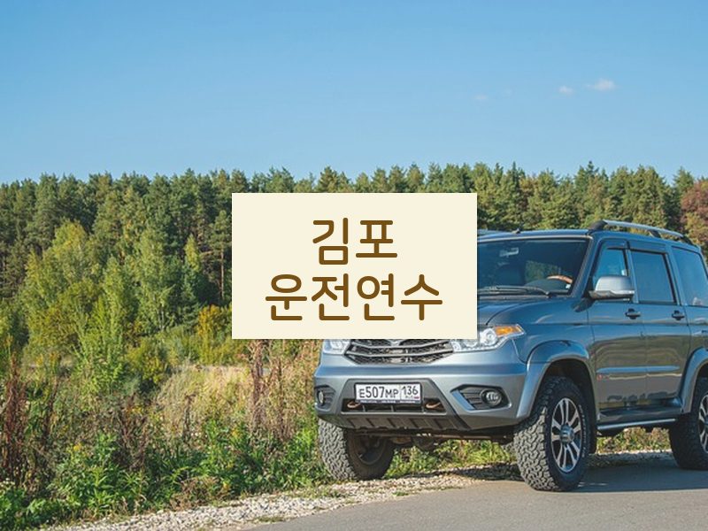 김포운전연수 후기