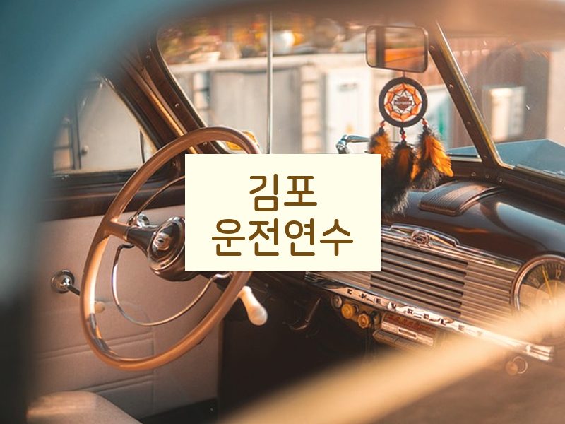 김포운전연수 후기