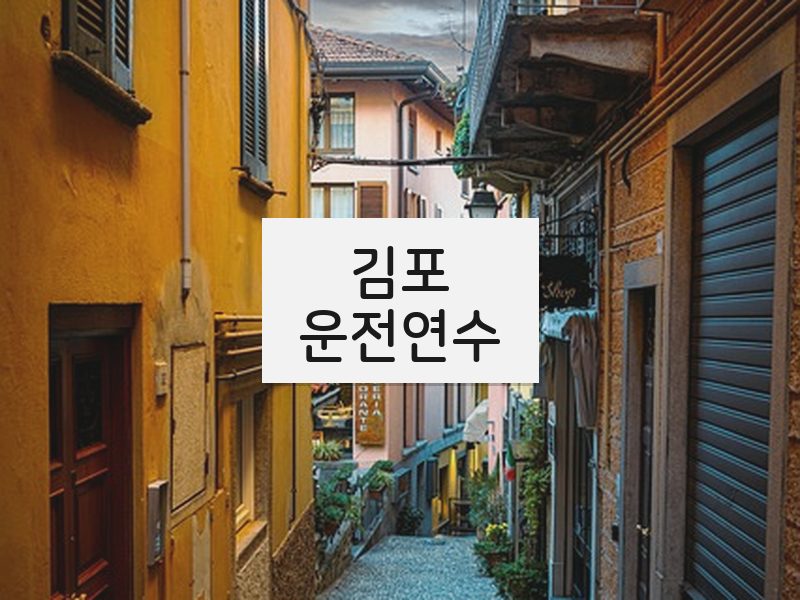 김포운전연수 후기