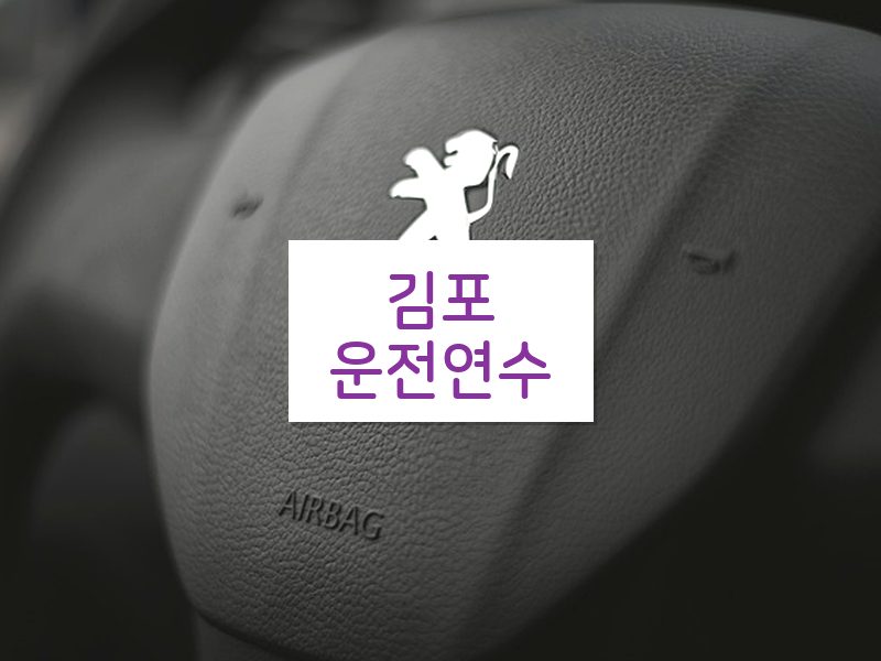 김포운전연수 후기