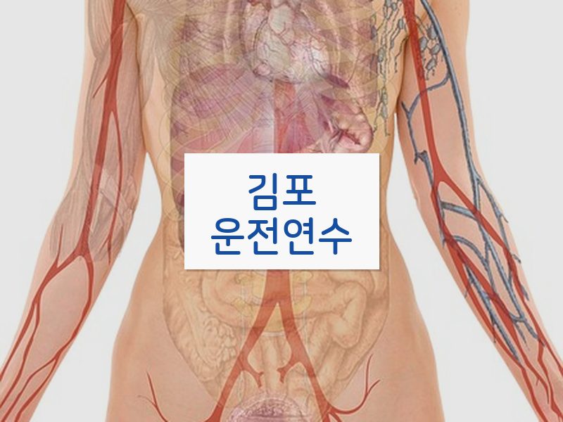 김포운전연수 후기