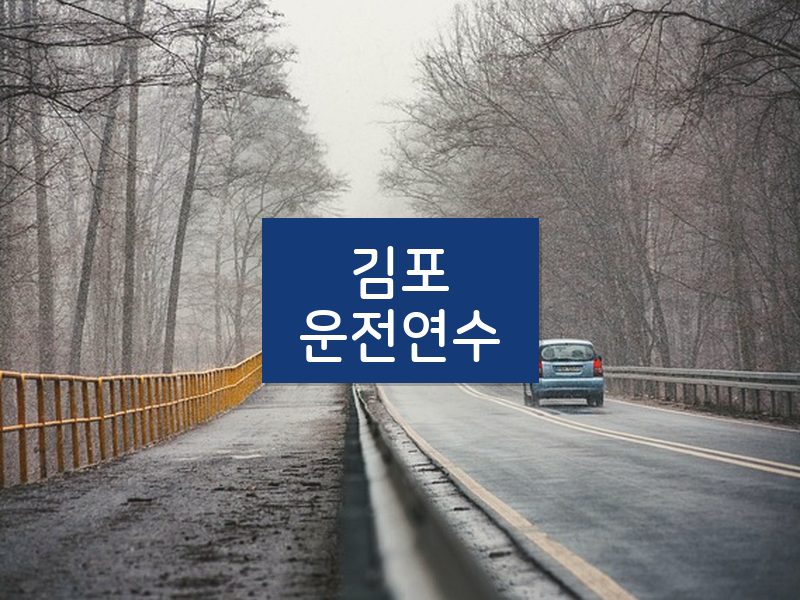 김포운전연수 후기