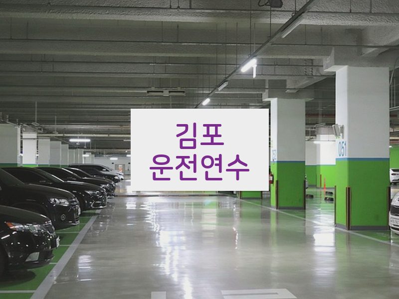 김포운전연수 후기