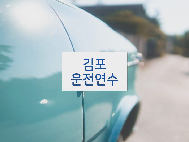 김포운전연수 후기