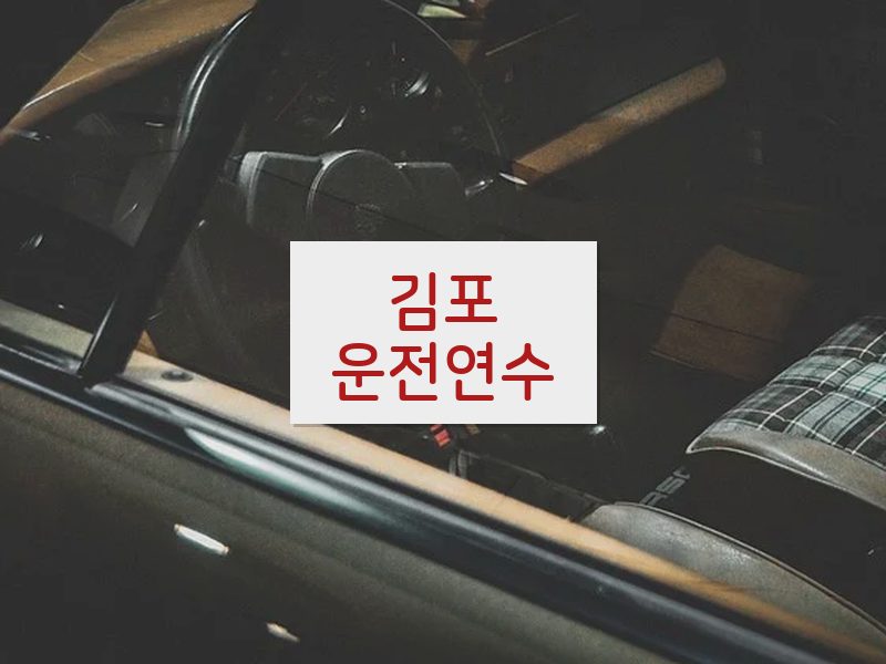 김포운전연수 후기