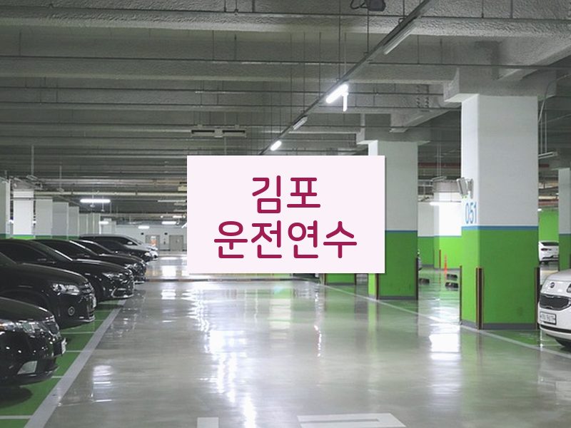 김포운전연수 후기