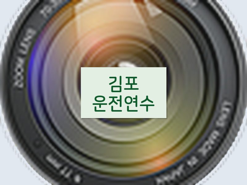 김포운전연수 후기
