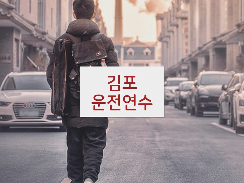 김포운전연수 후기