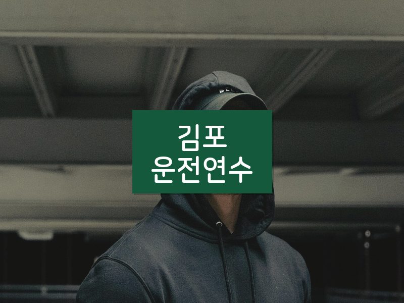 김포운전연수 후기