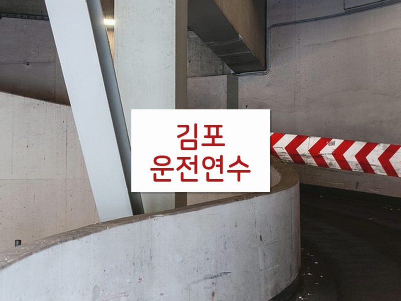 김포운전연수 후기
