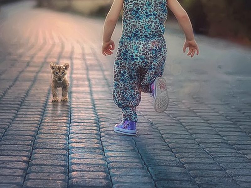 김포운전연수 후기