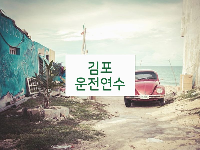 김포운전연수 후기