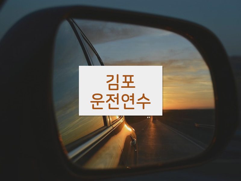김포운전연수 후기