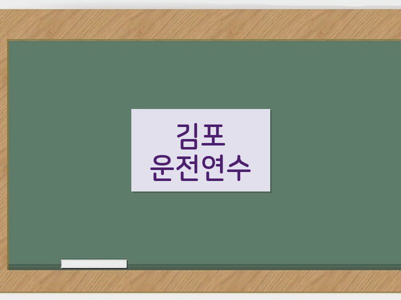 김포운전연수 후기
