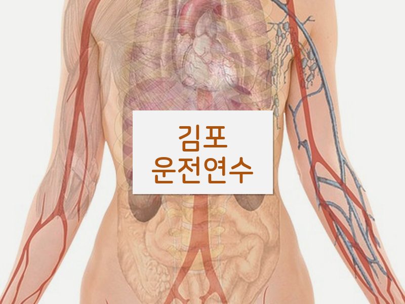 김포운전연수 후기