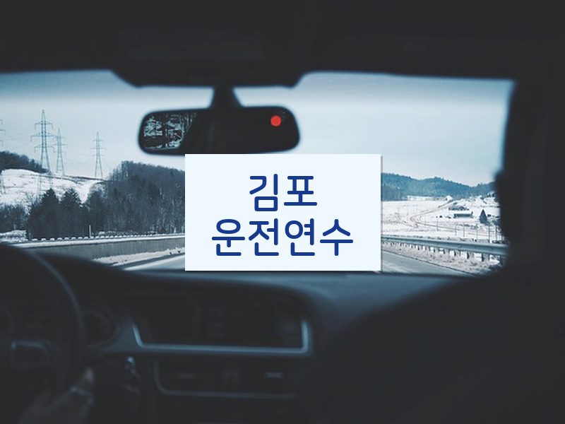 김포운전연수 후기