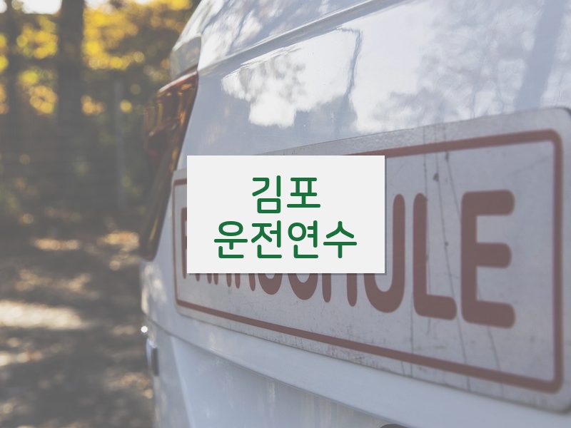 김포운전연수 후기