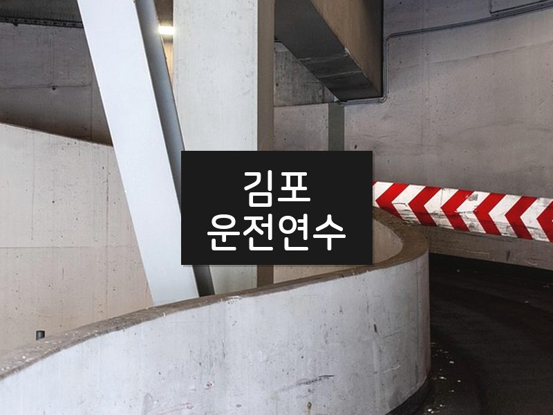 김포운전연수 후기