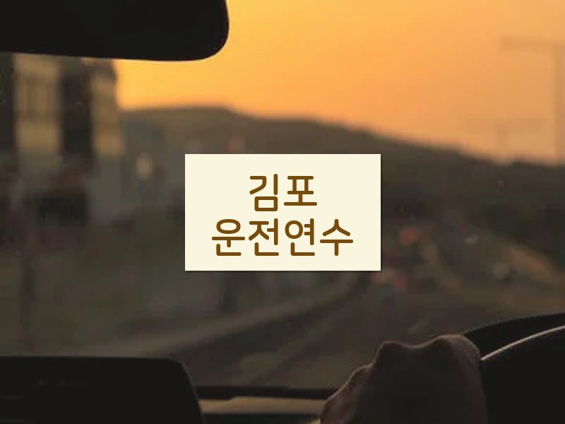 김포운전연수 후기