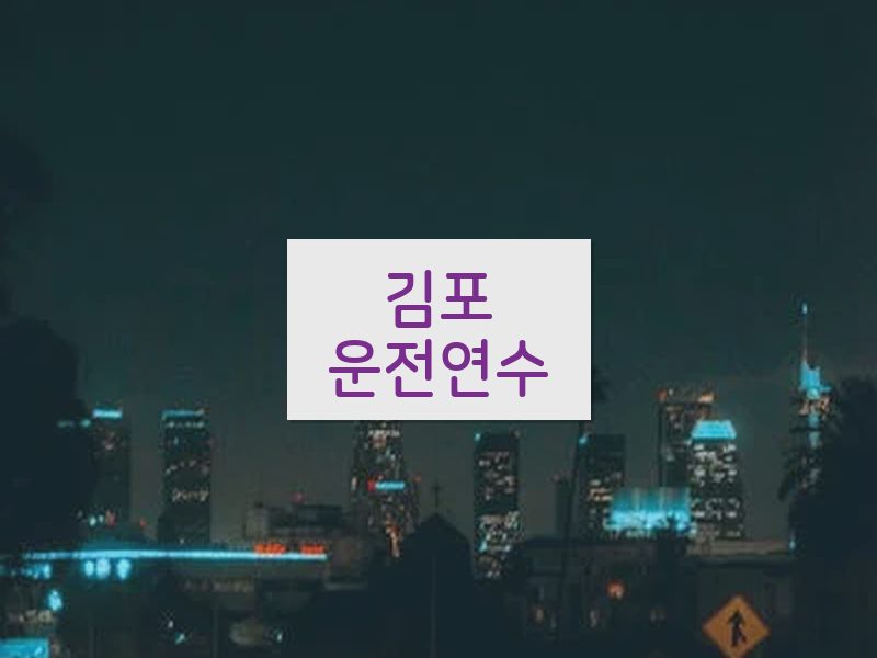 김포운전연수 후기