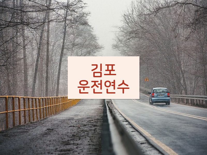 김포운전연수 후기